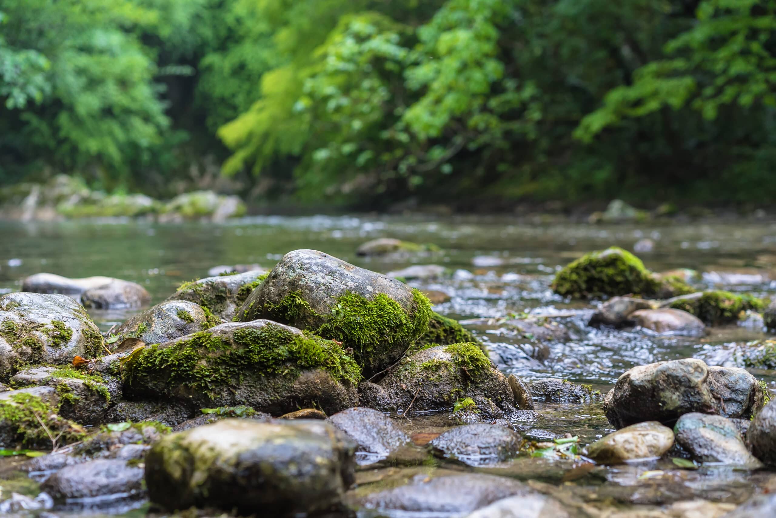 Los ríos, fuente de vida y belleza natural